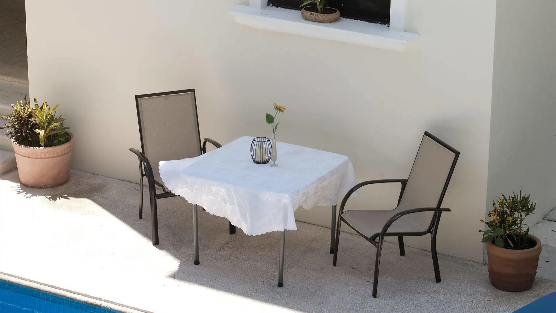 Green Oasis Home Boutique Playa del Carmen Bed & Breakfast