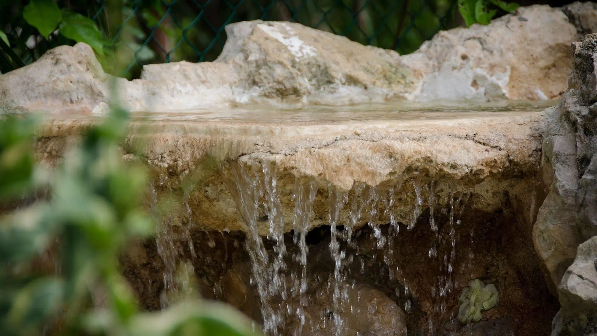 Bed & Breakfast Green Oasis Home Boutique Playa del Carmen