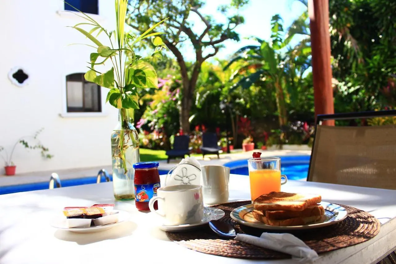 Bed & Breakfast Green Oasis Home Boutique Playa del Carmen