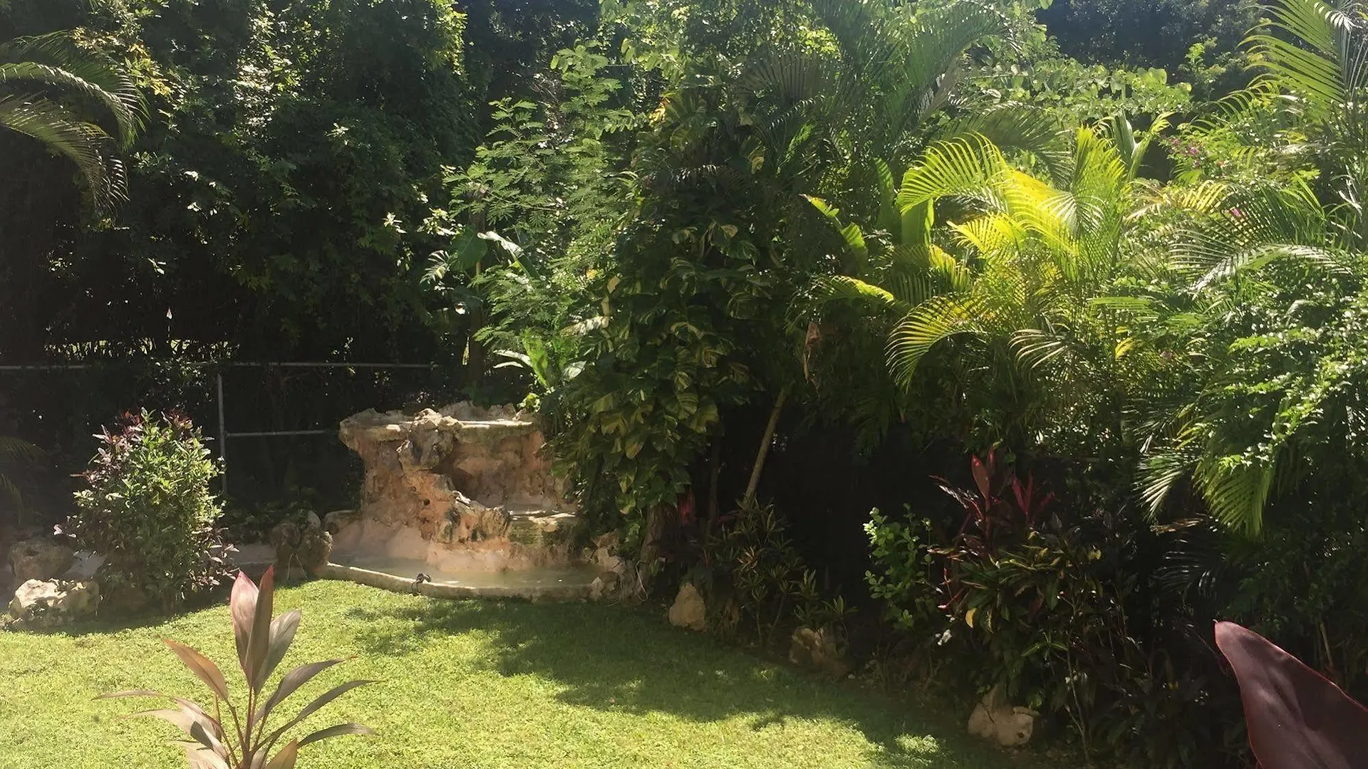 *** Bed & Breakfast Green Oasis Home Boutique Playa del Carmen Mexico